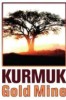 Kurmuk Gold Mine PLC